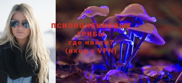 меф Белокуриха