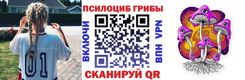 блэк спрут как войти  наркотики  Заводоуковск  даркнет как зайти  Галлюциногенные грибы Cubensis 