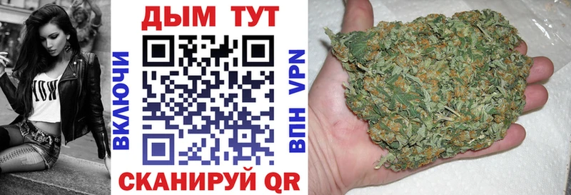 Шишки марихуана SATIVA & INDICA  как найти наркотики  Заводоуковск 